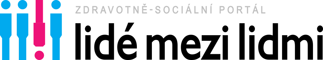 Lidemezilidmi logo web